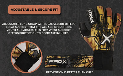 Pro X Champion Series