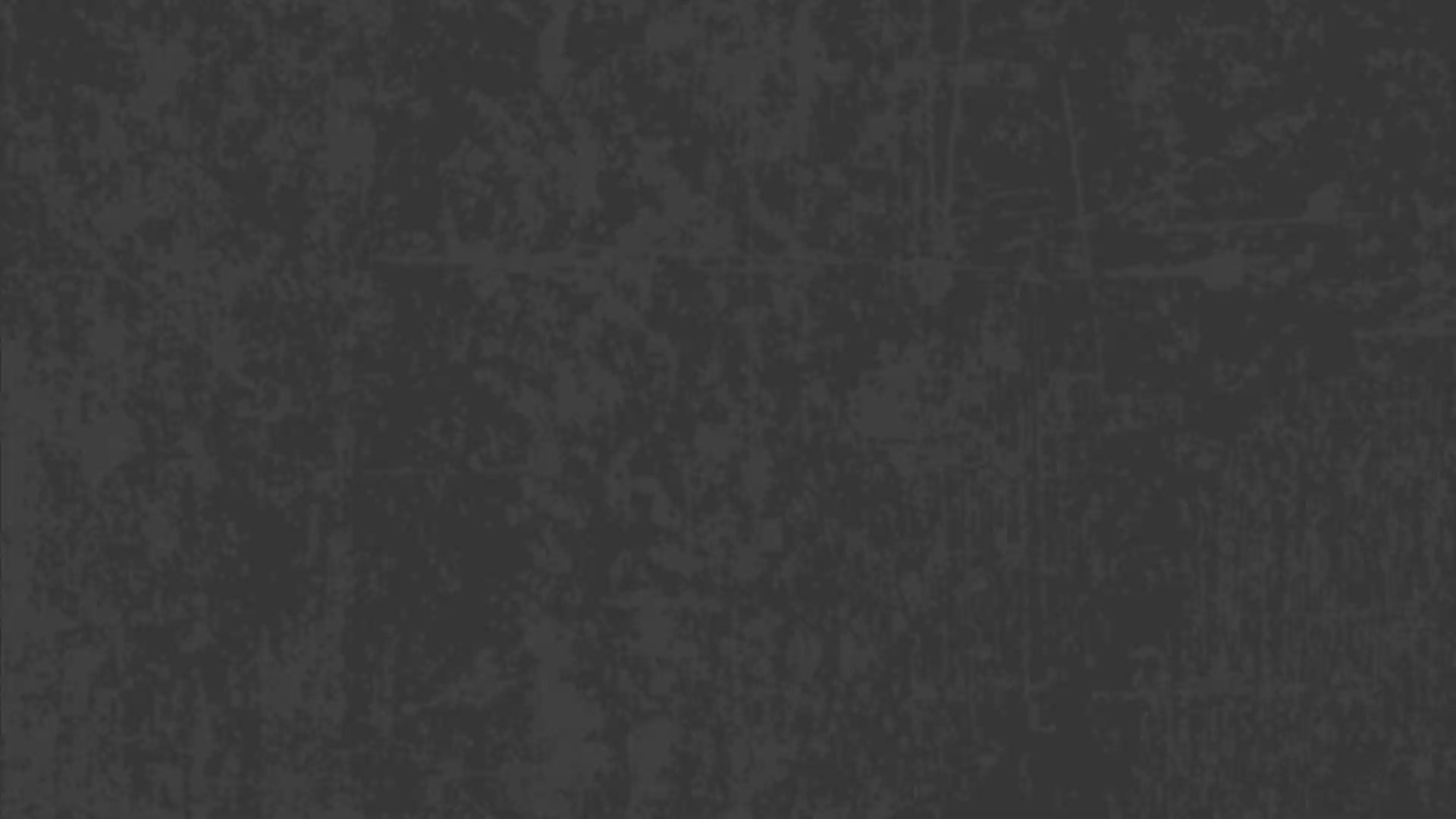 Load video: proX video